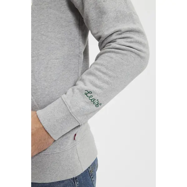 hoodie standard graphic gris 100% coton
