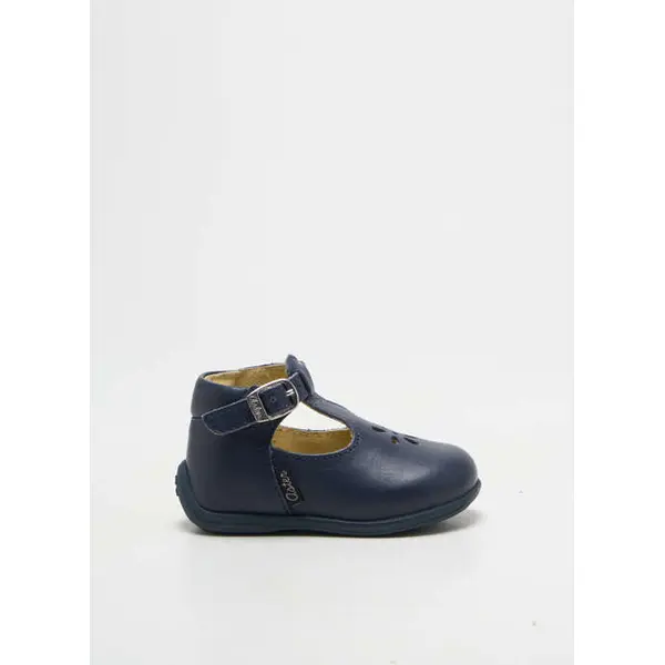Bottillons Aster Bleu Bout Rond