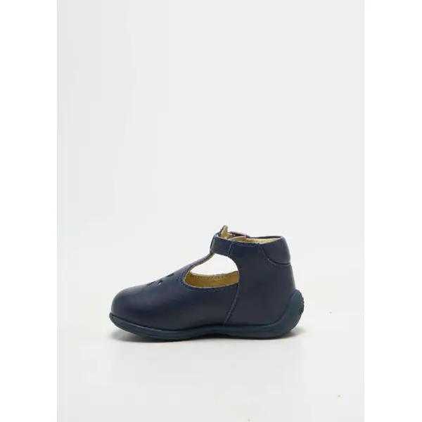 Bottillons Aster Bleu Bout Rond