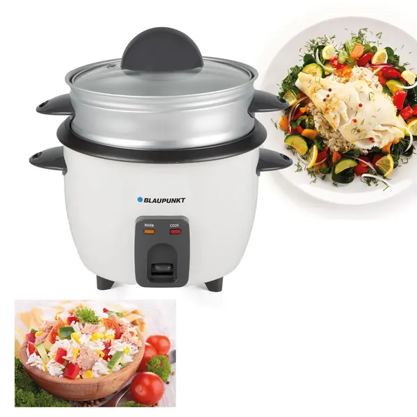 Cuiseur de riz Blaupunkt