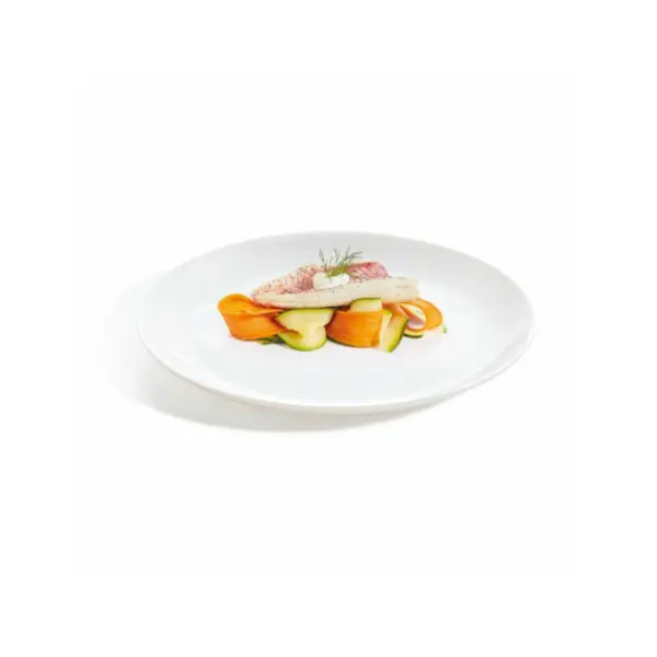 6 assiettes plates 27cm white Evolutions - Arc Outlet Talange