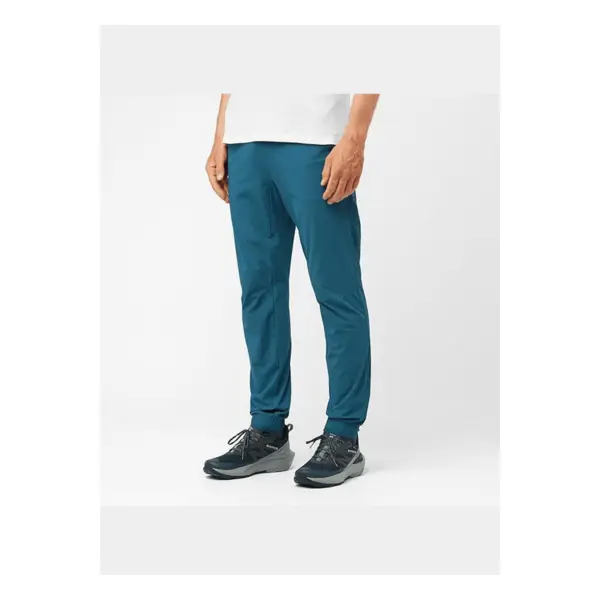 Wayfarer ease pants - Salomon