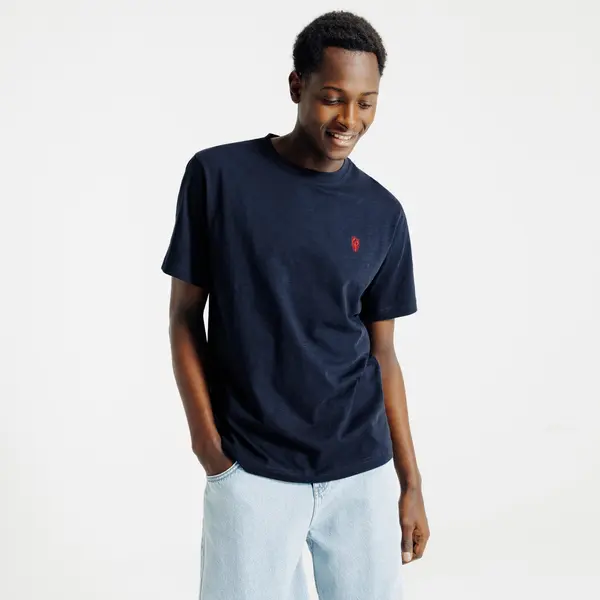 Tee shirt matière flammée broderie poitrine