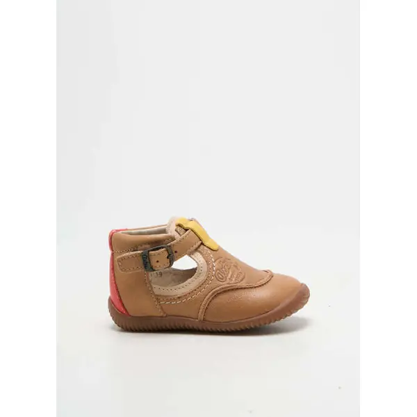 Bottillons Aster Marron Bout Rond