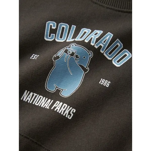 Sweat col rond marron bébé garçon Name It NMMVODER – Confort & look décontracté
