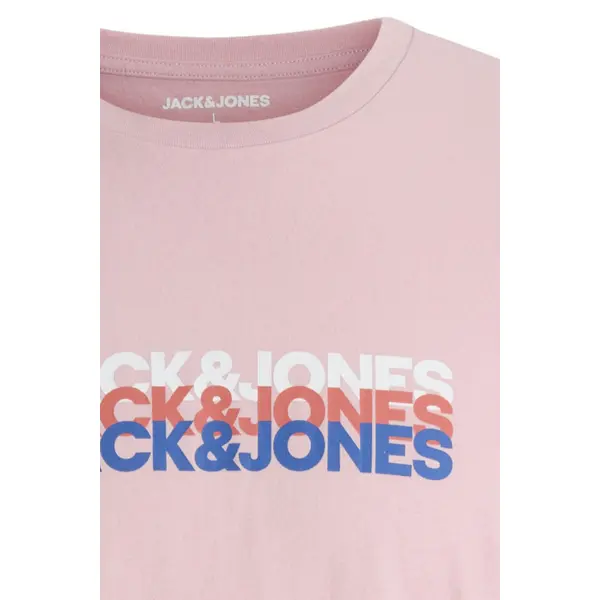 T-shirt cyber graphic rose