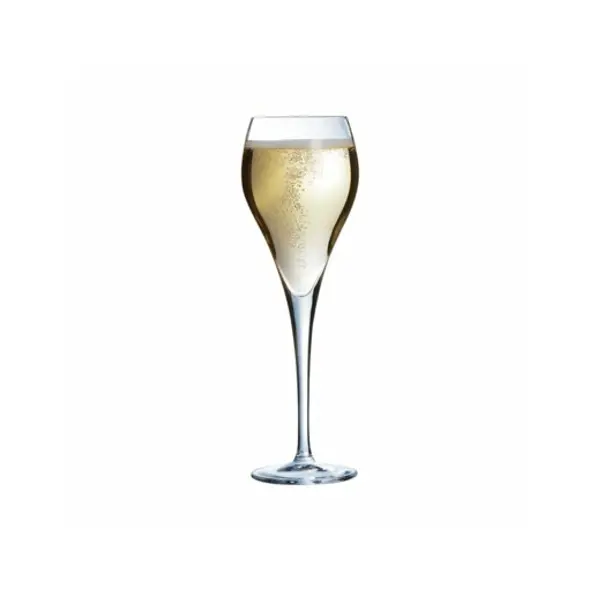6 flûtes 16cl brio - Arc Outlet Talange