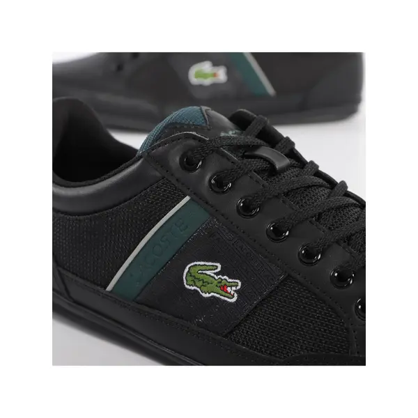 Chaymon 319 3