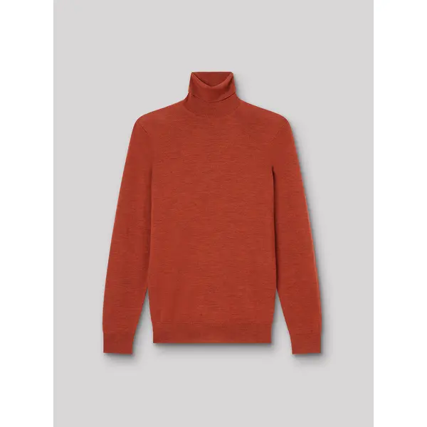 Pull col roulé en laine Mérinos