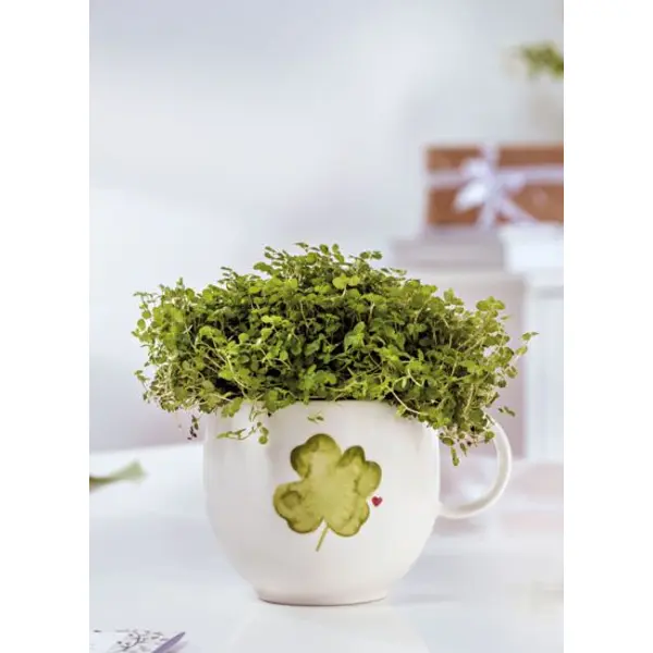 With Love mug à anse Good Luck 290 ml - Villeroy & Boch