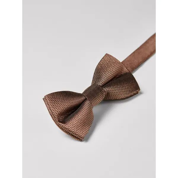 Noeud papillon contenant de la soie