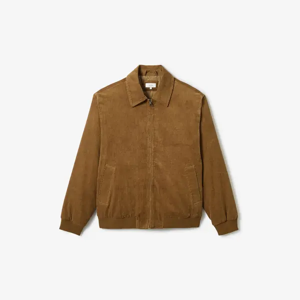 Blouson en velours col chemise zippé
