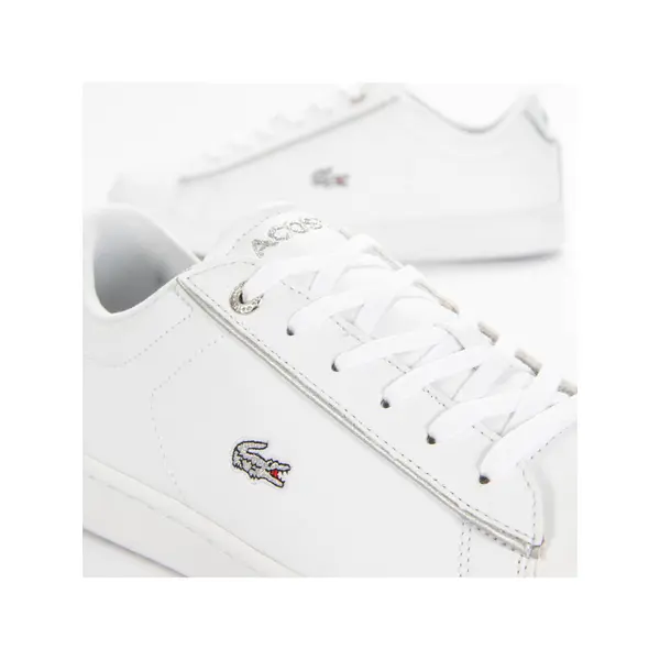 carnaby evo 0520