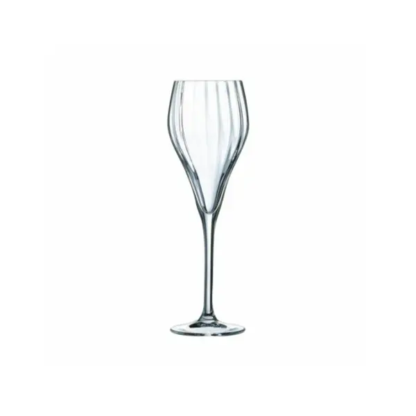 6 flûtes 16cl Symétrie - Arc Outlet Talange