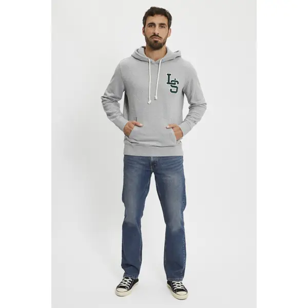 hoodie standard graphic gris 100% coton
