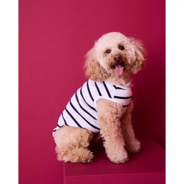 Marinière Thermolactyl pour chiens